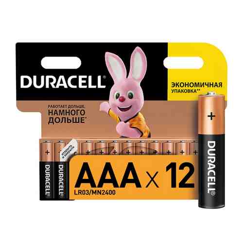 Батарейки DURACELL LR03 AAA 12шт арт. 1001103251