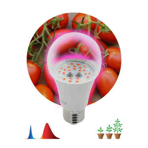 Лампа светодиодная для растений ЭРА 10Вт E27 220В груша красно-синий спектр арт. 1001434848