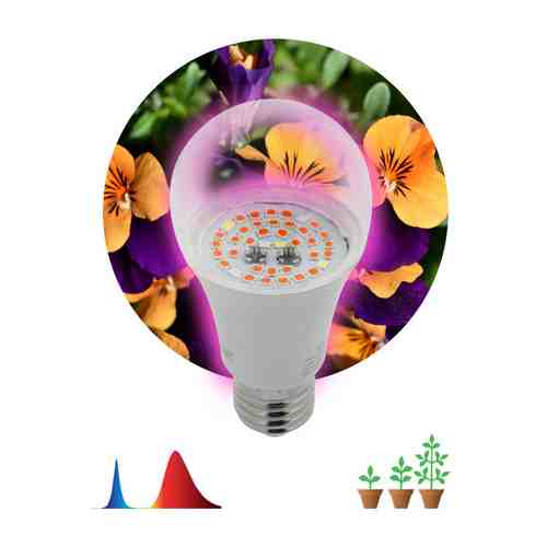 Лампа светодиодная для растений ЭРА 12Вт E27 220В груша красно-синий спектр арт. 1001434594
