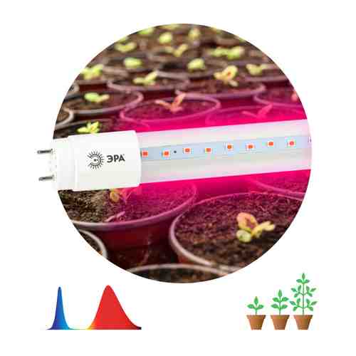 Лампа светодиодная для растений ФИТО ЭРА 9Вт Т8 G13 600мм красно-синий спектр арт. 1001309955