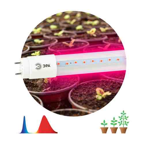 Лампа светодиодная для растений ФИТО ЭРА T8 18Вт G13 1200мм красно-синий спектр арт. 1001309956
