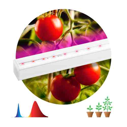 Светильник ЭРА ФИТО для растений 14Вт LED IP20 сине-красный спектр белый арт. 1001309958