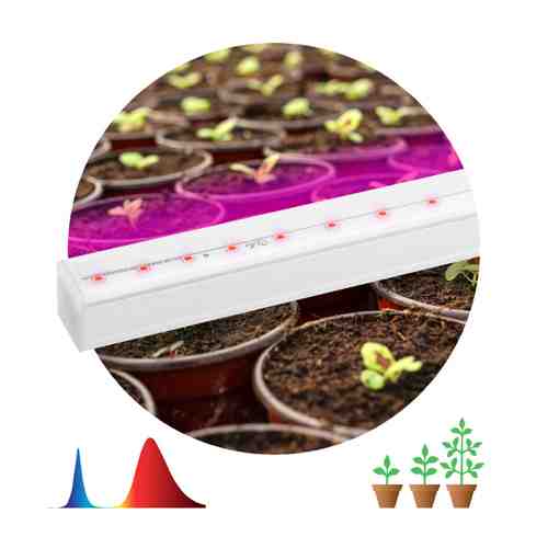 Светильник ЭРА ФИТО для растений 9Вт LED IP20 сине-красный спектр белый арт. 1001309957