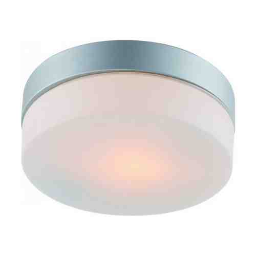 Светильник настенно-потолочный для ванной Aqua 1х60Вт E27 230В металл крашеный серебро арт. 1001162156
