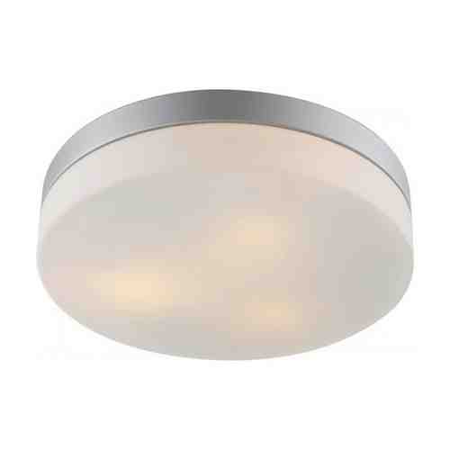 Светильник настенно-потолочный для ванной Aqua 3х60Вт E27 230В металл крашеный серебро арт. 1001162158
